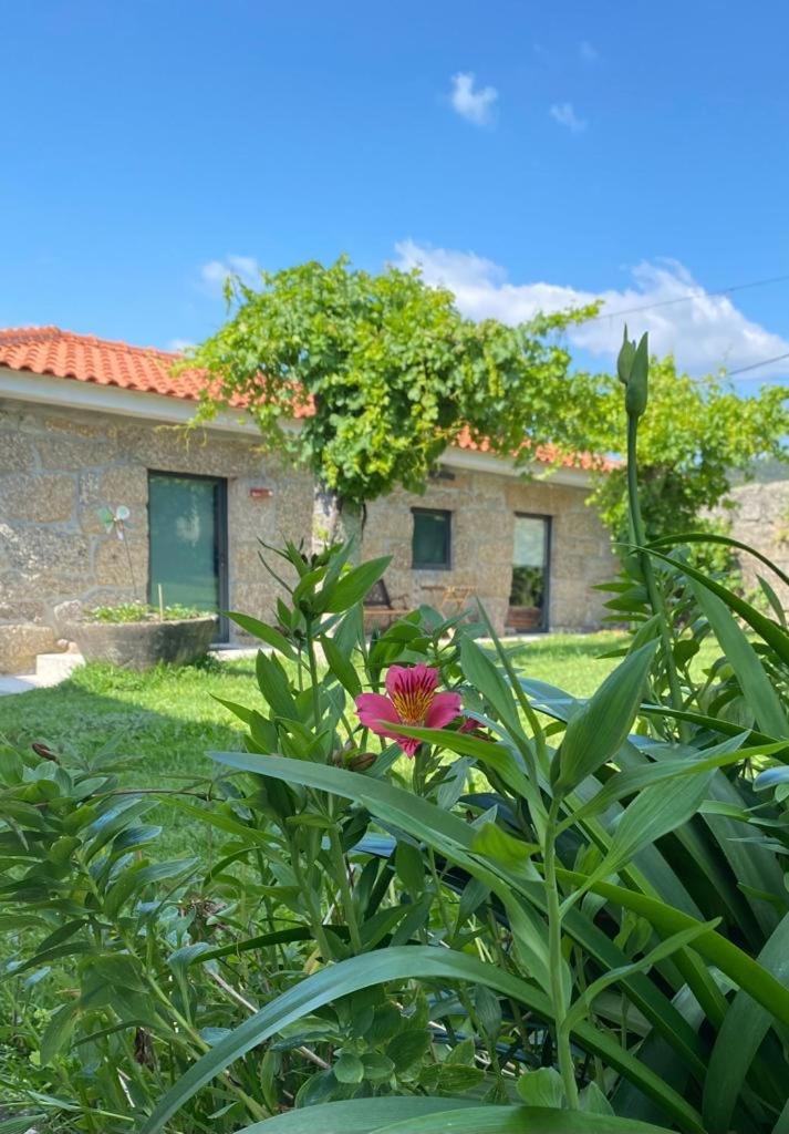 Hotel Quinta Da Tulha By Vimahotels Guimarães Kültér fotó